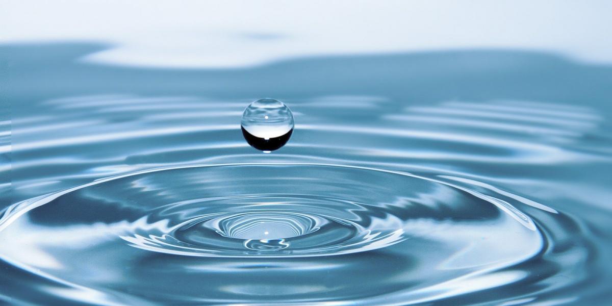 Wasserfussabdruck